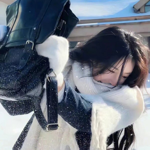 动物频道