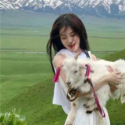 我的英雄学院第五季